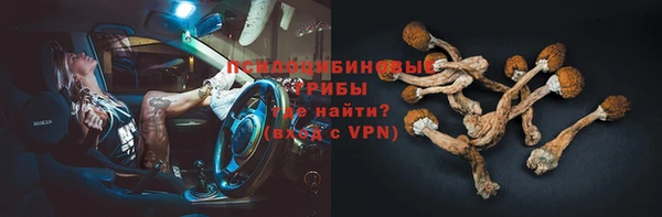 a pvp Алексеевка
