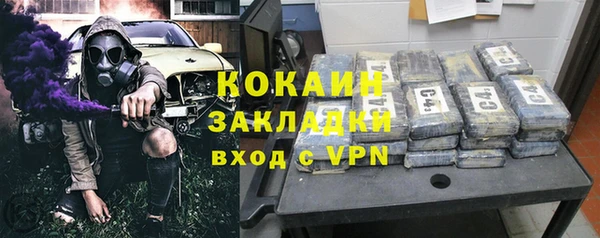 ешки Алексин