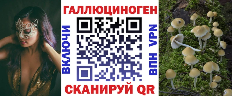 Галлюциногенные грибы Psilocybe  дарк нет формула  Калязин 